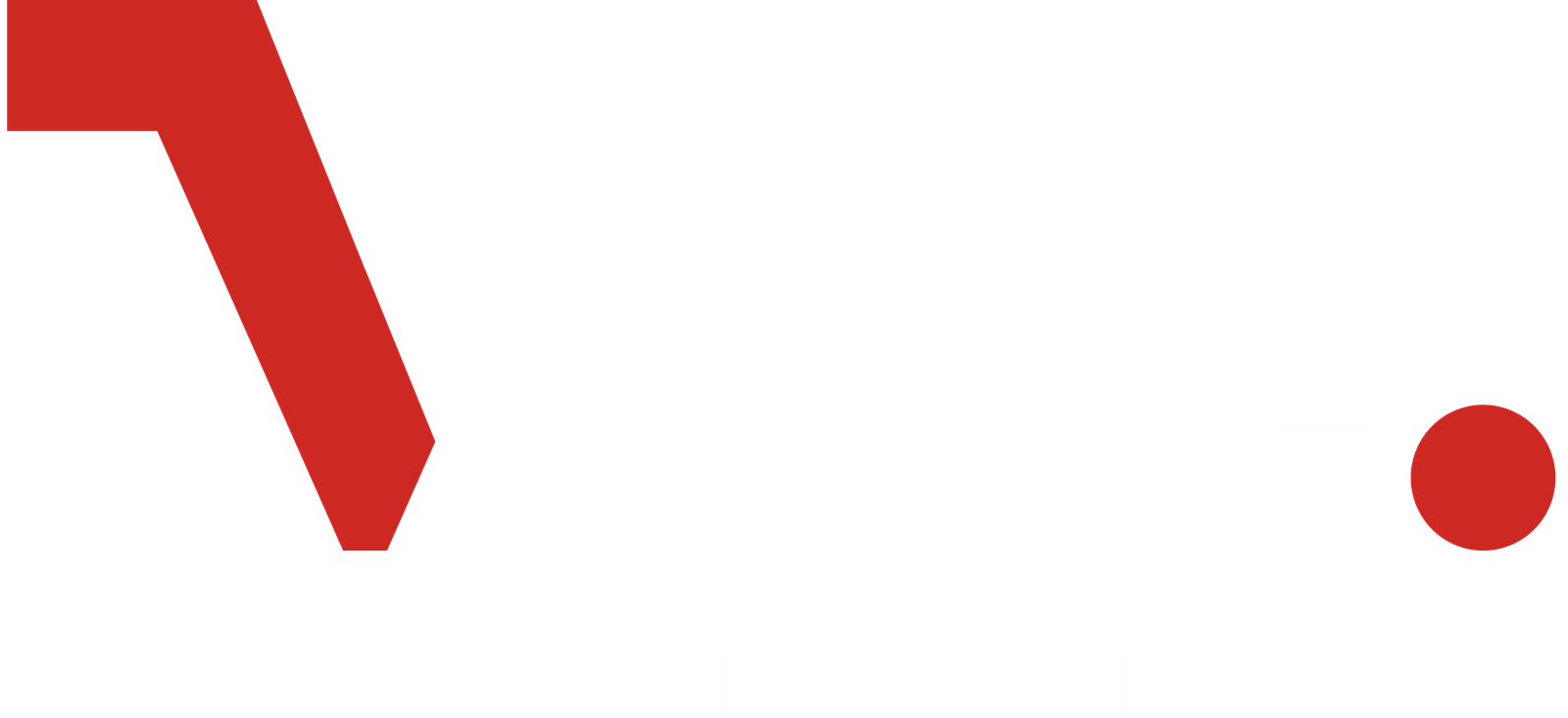 VCL, Value Creation Leadership